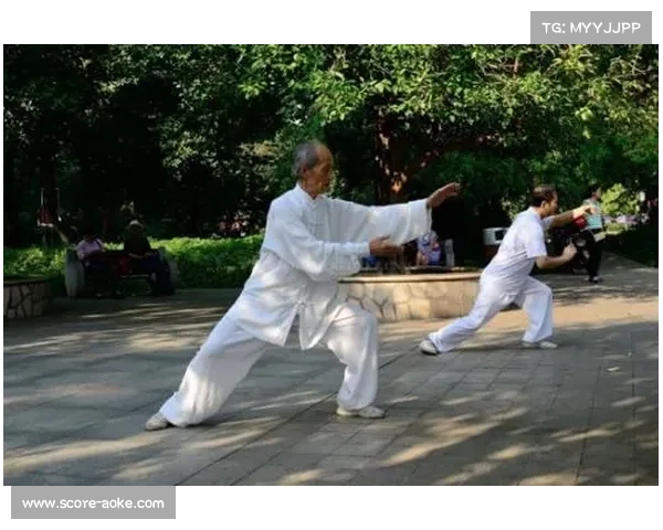 中国健身气功协会推出全新功法太极养生杖助力健康提升，开启传统文化新篇章